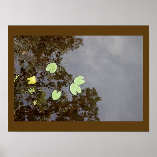 Schwimmer-Wasserlilien-Plakat Poster (Vorne)