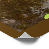 Schwimmer-Wasserlilien-Plakat Poster (Ecke)
