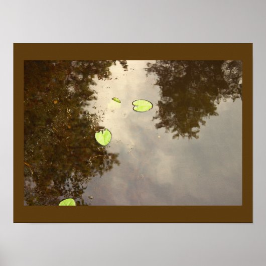 Schwimmer-Wasserlilien-Plakat Poster (Vorne)