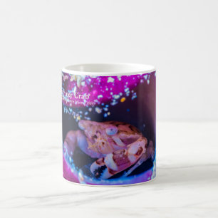 Schwimmerkrebs (Lissocarcinus laevis Miers, 1886) Kaffeetasse