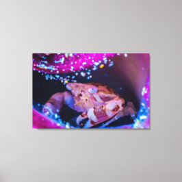 Schwimmerkrebs (Lissocarcinus laevis Miers, 1886) Leinwanddruck