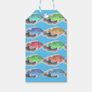 Schwimmfische Geschenkanhänger