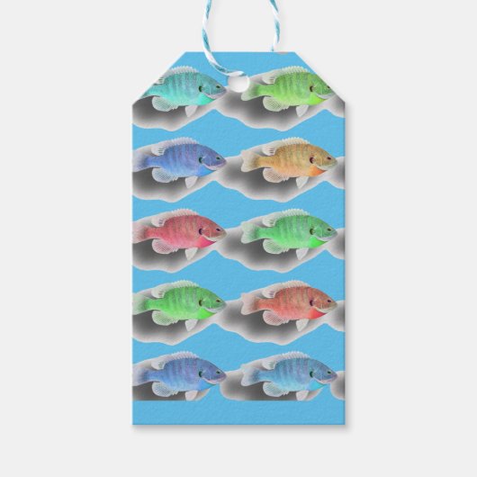 Schwimmfische Geschenkanhänger (Vorderseite)