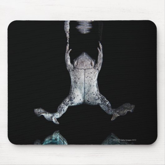 Schwimmfrosch Mousepad (Vorne)