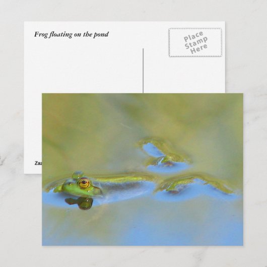 Schwimmfrosch Postkarte (Vorne/Hinten)