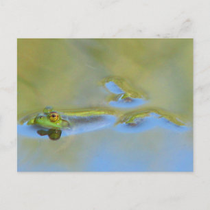 Schwimmfrosch Postkarte