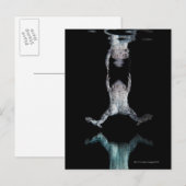 Schwimmfrosch Postkarte (Vorne/Hinten)