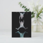 Schwimmfrosch Postkarte (Stehend Vorderseite)