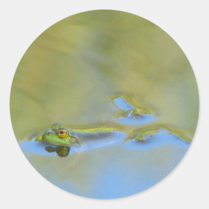 Schwimmfrosch Runder Aufkleber