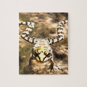 Schwimmfrösche, eingebettet in klares Wasser Paint Puzzle