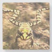 Schwimmfrösche, eingebettet in klares Wasser Paint Steinuntersetzer (Vorderseite)