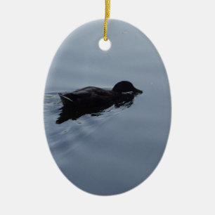 Schwimmhalle am See, Natur Bird Blauer Wildlife Keramikornament