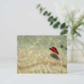 Schwimmherz Postkarte (Stehend Vorderseite)