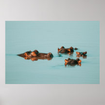 SCHWIMMHIPPOS