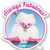 Schwimmhund in Schwimmern Aufkleber (Vorderseite)