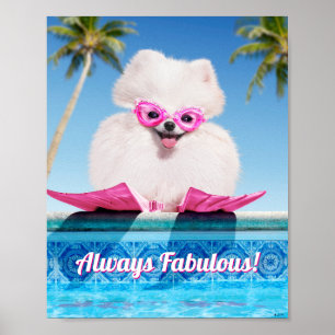 Schwimmhund in Schwimmern Poster