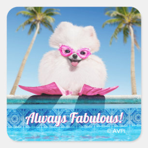 Schwimmhund in Schwimmern Quadratischer Aufkleber