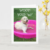 SCHWIMMHUND SAGT GLÜCKLICH "SIE" SIND 40 UND NICHT KARTE (Gelbe Blume)