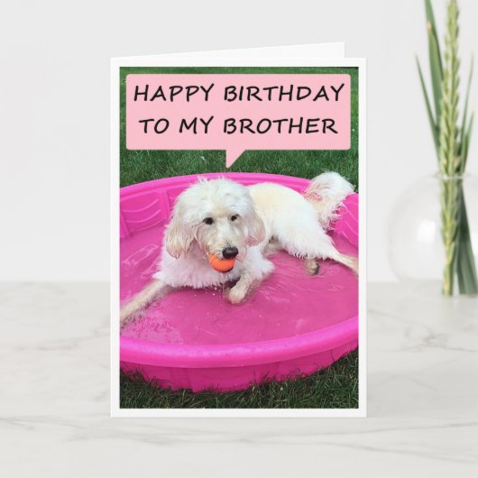 SCHWIMMHUNDE LIEBEN BRUDER/BEST FREUND GEBURTSTAG KARTE (Vorderseite)