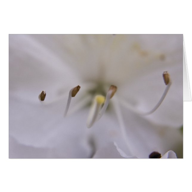 Schwimmkarte (Vorderseite (Horizontal))