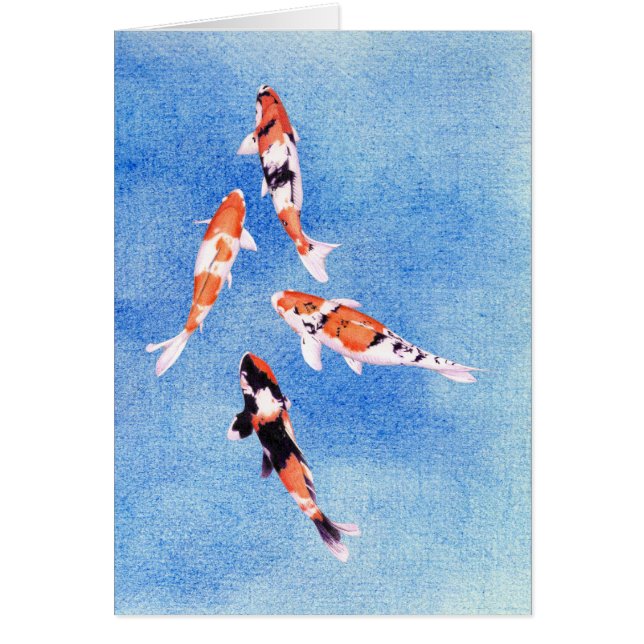 Schwimmkoi Blue Card (Vorne)