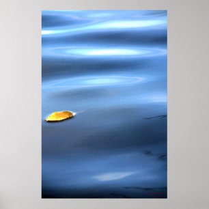 Schwimmleder auf Wasser # 111 Poster