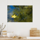 Schwimmleder Poster (Küche)