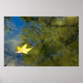 Schwimmleder Poster (Vorne)