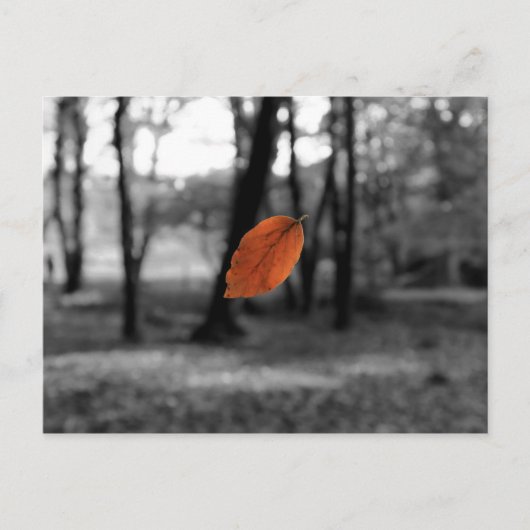 Schwimmleder Postkarte (Vorderseite)