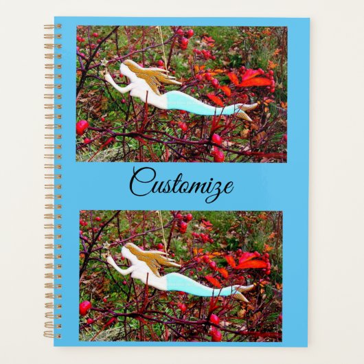 SchwimmMeerjungfrau Planer (Vorderseite)