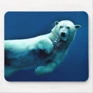Schwimmpolarbären-Maus-Pad Mousepad