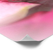 Schwimmrosa Rosenblätter auf Wasserplakat Poster (Ecke)