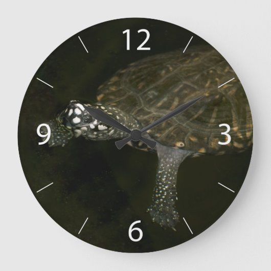 Schwimmschildkröte Große Wanduhr (Vorderseite)