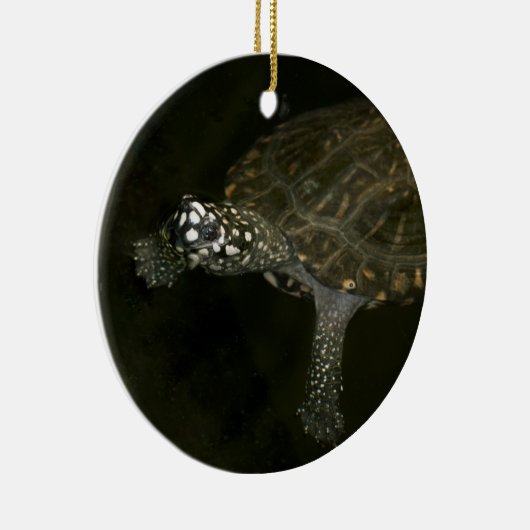 Schwimmschildkröte Keramikornament (Rechts)