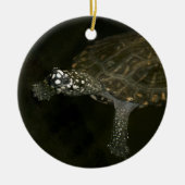 Schwimmschildkröte Keramikornament (Vorne)