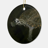 Schwimmschildkröte Keramikornament (Links)