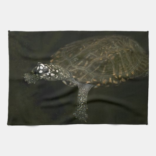 Schwimmschildkröte Küchentuch (Horizontal)