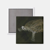 Schwimmschildkröte Magnet (Vorderseite/Rückseite)
