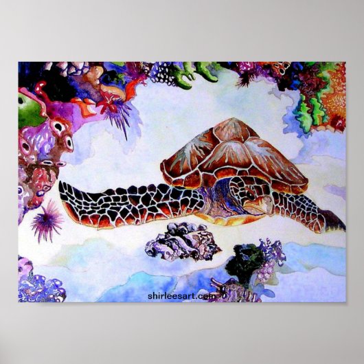 Schwimmschildkröte Poster (Vorne)