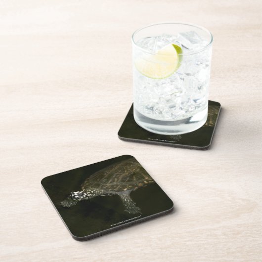 Schwimmschildkröte Untersetzer (Rechte Seite)