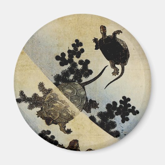 Schwimmschildkröten Magnet (Vorne)