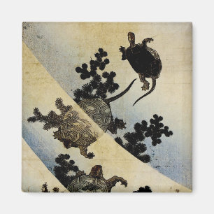 Schwimmschildkröten Magnet