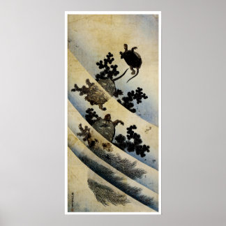 Schwimmschildkröten Poster