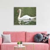 Schwimmschwan Leinwanddruck (Insitu (Wohnzimmer))