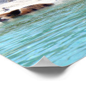 Schwimmschweine in Strandposter Poster (Ecke)