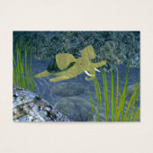 Schwimmturphant (Vorderseite)