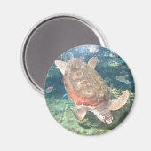 Schwimmturtelmagnet Magnet (Vorderseite/Rückseite)