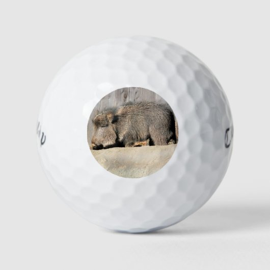 Schwindel Golfball (Vorderseite)