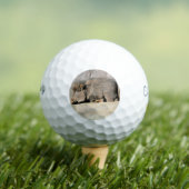 Schwindel Golfball (Insitu T-Shirt)