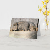 Schwindel Karte (Gelbe Blume)